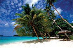 Enjoy the Beautiful Beaches of Vanuatu