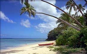 Efate Round Island Safari