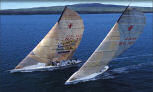 Sailing, Auckland, New Zealand