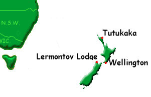 [NZD9] Dive New Zealand Lermontov 1