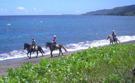 Horse Back Riding in Vanuatu